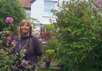 Eviction looms for West Somerset renter