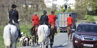 Fund-raising for staghunt legal review