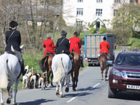 Fund-raising for staghunt legal review