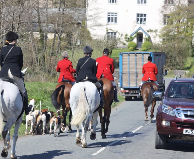 Fund-raising for staghunt legal review