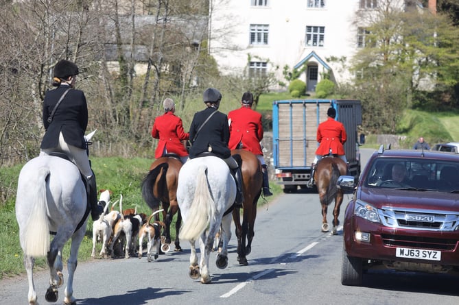 The Devon and Somerset Staghounds ride out on Exmoor.