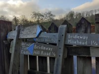 'Seed to sawmill' trees celebration