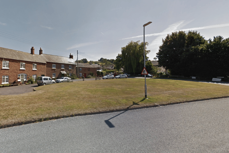 Timberscombe village green Exmoor parish council referendum to mow or not