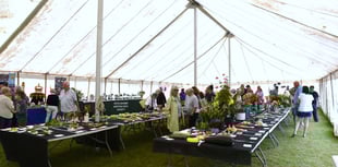Wivey Show returns for 109th year