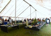 Wivey Show returns for 109th year