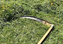 Scything volunteers sought to boost wildflowers
