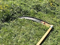 Scything volunteers sought to boost wildflowers
