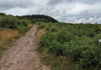 Forest site visit to hear future management plans