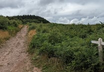 Ten-year plan under preparation for important Exmoor site