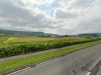 Anger at hedgerow treatments