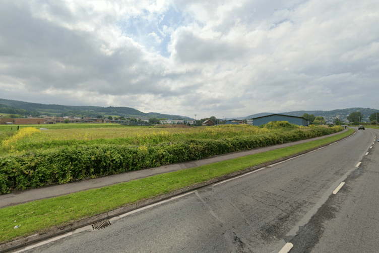 The Seaward Way, Minehead, hedgerow before council contractors cut it back.