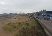 Dog ban on beach and parks could return