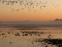 Trust needs your help to manage nature reserves