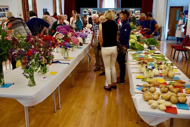 Visitors to Wootton Courtenay Flower Show helped it raise a record-breaking sum.
