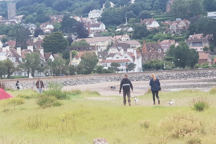 Part of Minehead beach where two councillors want dogs to be allowed all year round.