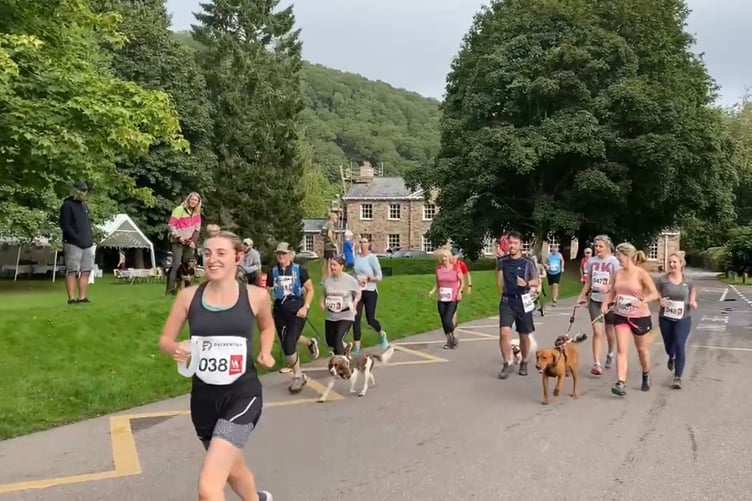 Some of last year's runners taking part in the Dulverton trail and canicross event