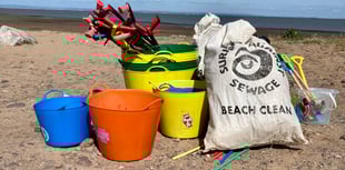 Help clean up West Somerset's beaches