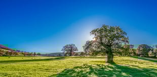 Heat alert across Wellington and West Somerset