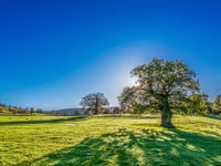 Heat alert across Wellington and West Somerset