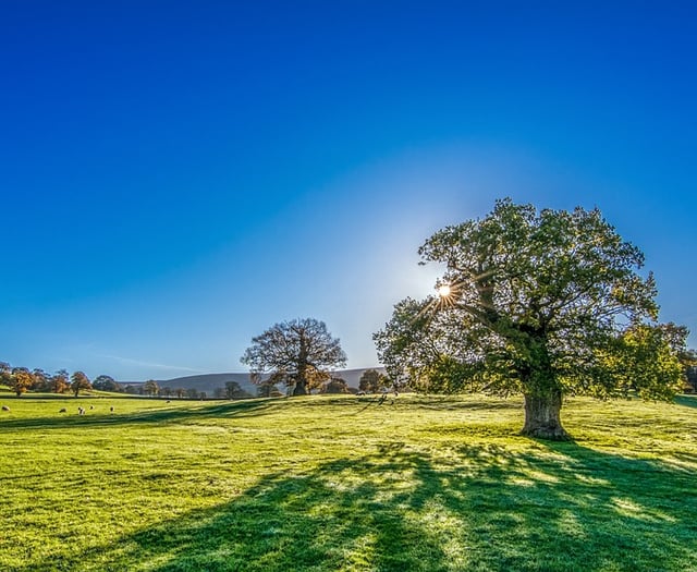 Heat alert across Wellington and West Somerset