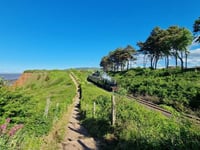Take part in organised coastal walk admiring beauty of Exmoor