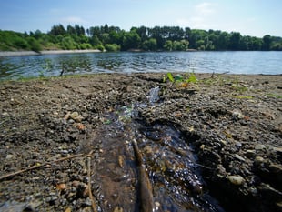 More than 1,500 sewage overflows in Somerset West and Taunton last year