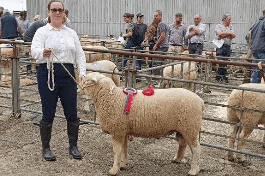 Mrs Jean Kingdon with her champion Devon closewool ram