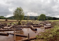 Exmoor river re-set project is first for UK