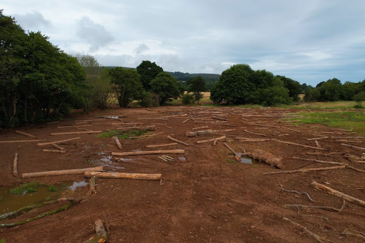 Logs laid prior to reconnection of the flood plain of the River Aller, on Exmoor.