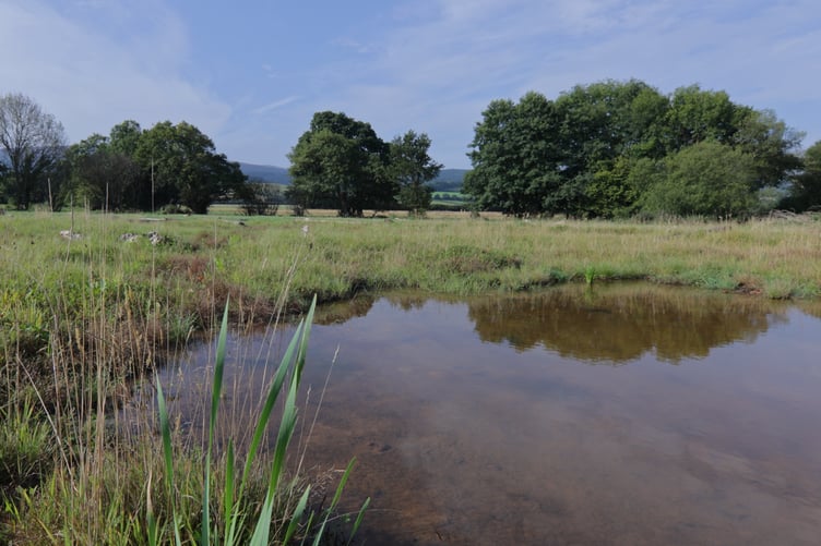 Ponds are starting to form in the new waterscape created at Holnicote, on Exmoor, using the new Stage 0 technique.