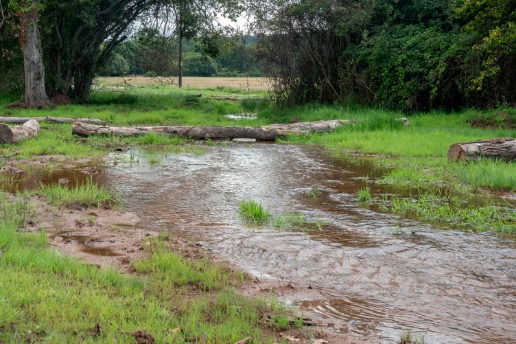 River Aller flows as it originally would on the National Trust's Holnicote Estate, on Exmoor.