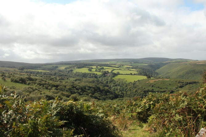 A view from Dunkery Hill of the National Trust's Holnicote Estate, on Exmoor.