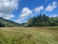 Welcome for Government nature recovery plans