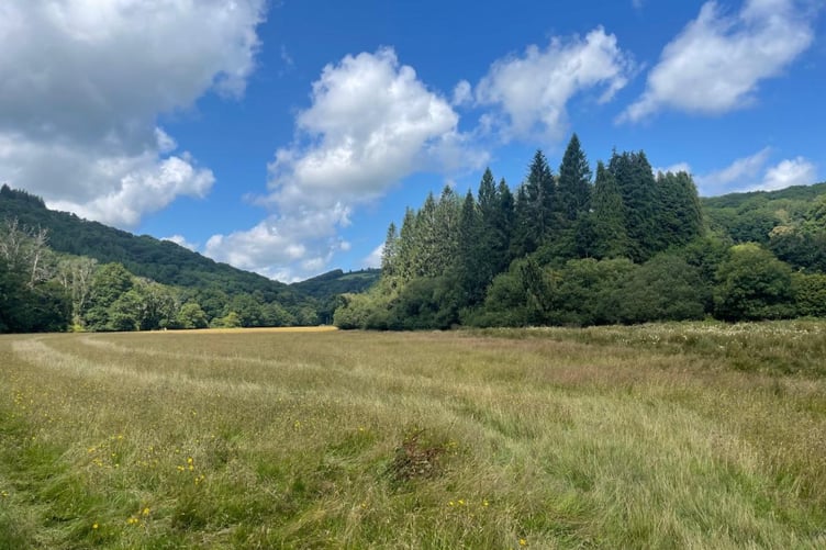 A view of an Exmoor meadow near Marsh Bridge.