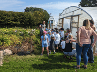 Pupils visit community garden to learn about vegetables
