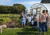 Good Vibe Veg market garden couple celebrate fifth anniversary with 'social Saturday'