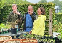 Explaining the organic way to look after your garden