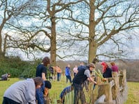 Funds and advice available to help you plant trees