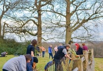 Funds and advice available to help you plant trees