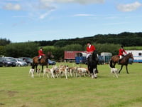 Urgent meeting called on future of Exmoor village show