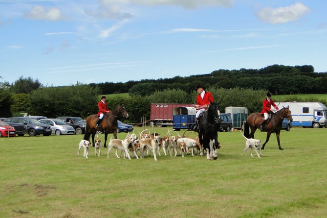 The West Somerset Hunt showing hounds at an earlier Brompton Regis Show.