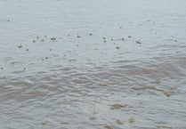 Shock at raw sewage slick in sea at popular beach