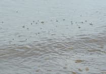 No explanation for huge raw sewage slick floating in sea at Blue Anchor beach