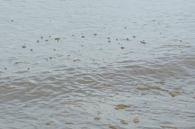Some of the raw sewage floating in the sea off Blue Anchor beach.