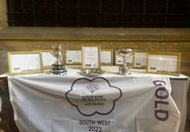 Towns win salvers in 2023 bloom awards