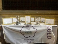 Towns win salvers in 2023 bloom awards