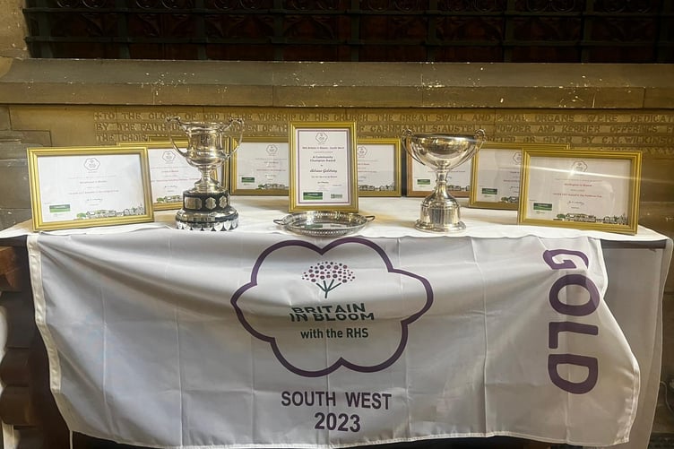 Some of the South West in Bloom trophies which have been won by Somerset towns this year.