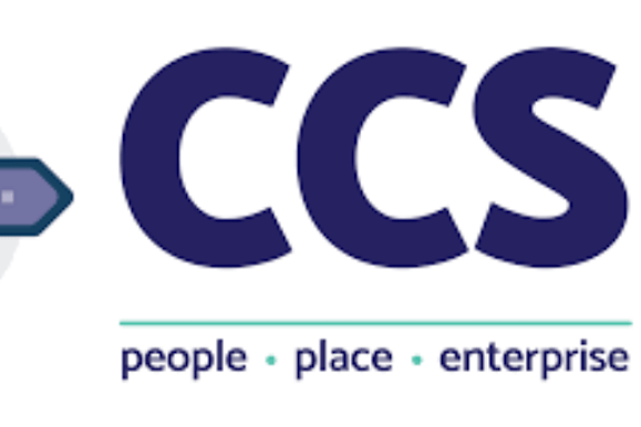 The Community Council for Somerset commissioned a survey on Wellington people's views.