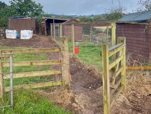 Appeal to help revamp school farm