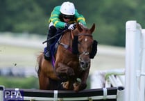 Sassified triumphs over hurdles